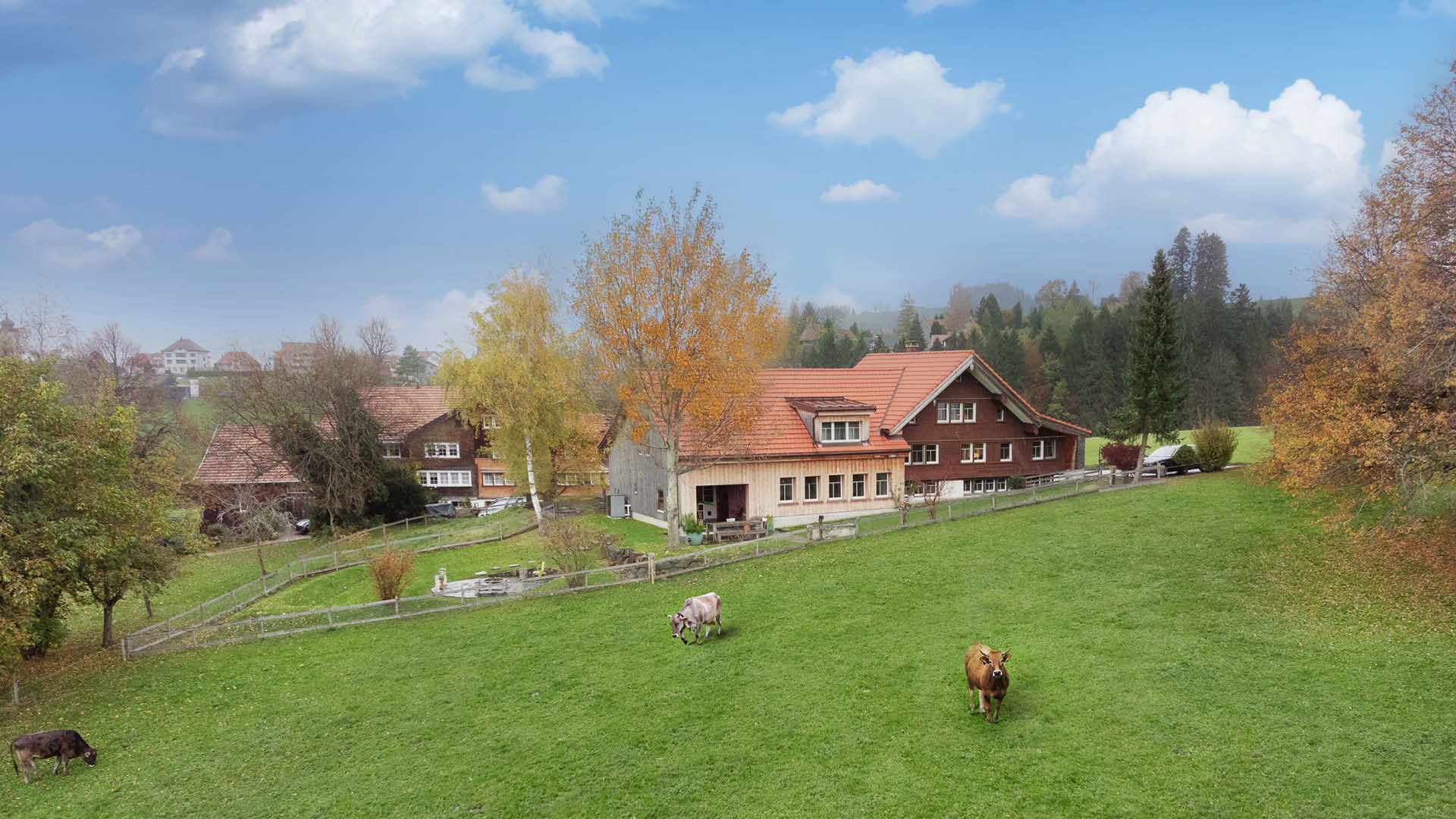 ar_appenzell-ausserrhoden_wald_lichtblick_bauernhaus_david-hauptmann_nobilis-estate_teaser.jpg