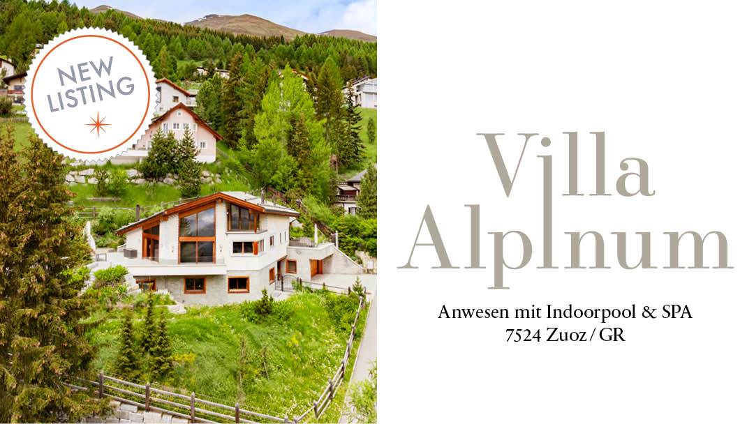 gr_graubuenden_zuoz_villa-alpinum_anwesen-mit-indoorpool-und-spa_david-hauptmann_nobilis-estate.jpg