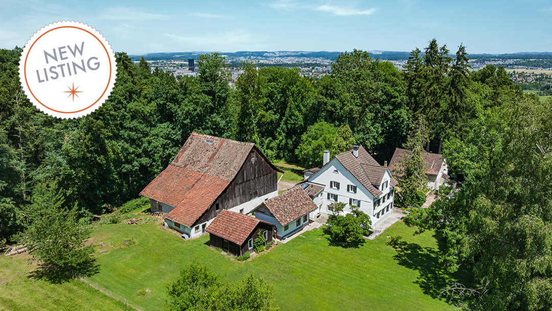 zh_zuerich_duebendorf_respiro-verde_wohnensemble-mit-entwicklungspotenzial-an-traumhafter-lage_david-hauptmann_nobilis-estate_new.jpg