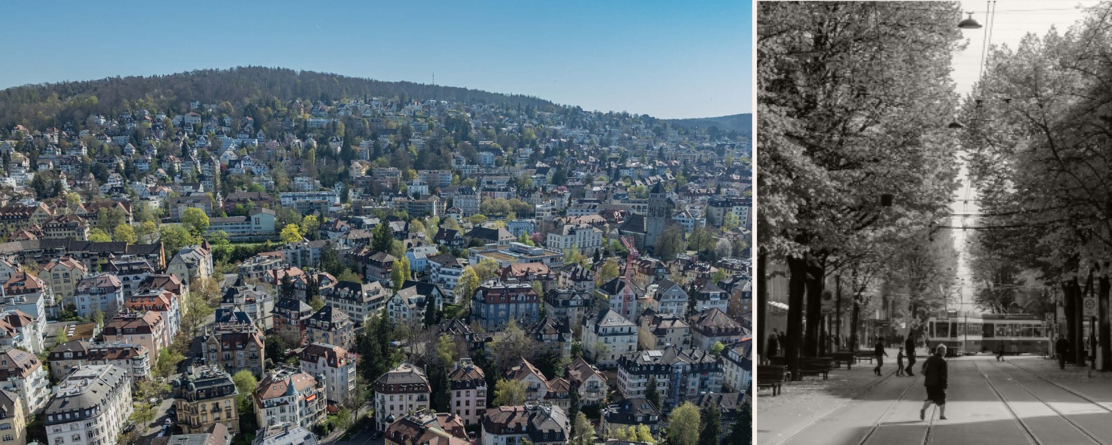 zh_zuerich_zuerich_schlossberg_villa_david-hauptmann_nobilis-estate_2.jpg